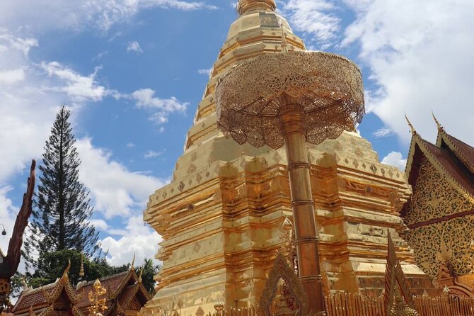 Doi Suthep Temple, Pha Lat Temple, Sticky Waterfall, Orchid farm - Doi Suthep: 306 steps, sacred views, and a temple worth the effort