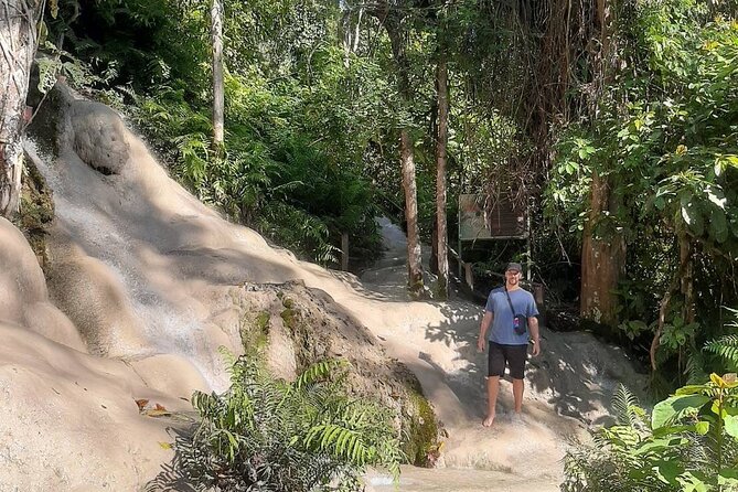 Doi Suthep Temple, Pha Lat Temple, Sticky Waterfall, Orchid farm - Bai Orchid and Butterfly Farm: a colorful break that resets your day