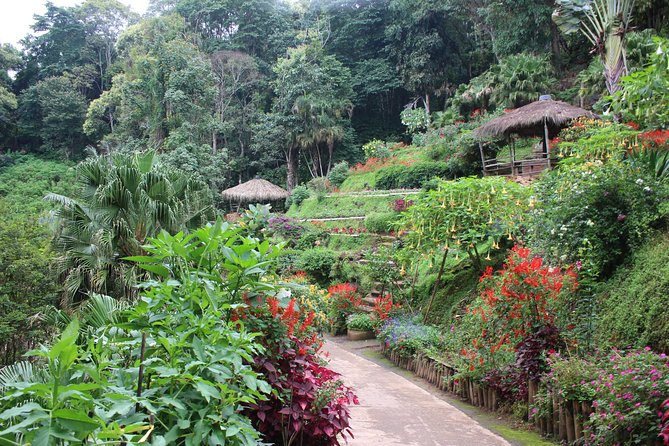 DON'T miss It ! Doi suthep temple+ Hmong village - Price and value: is $22.75 actually a good deal?