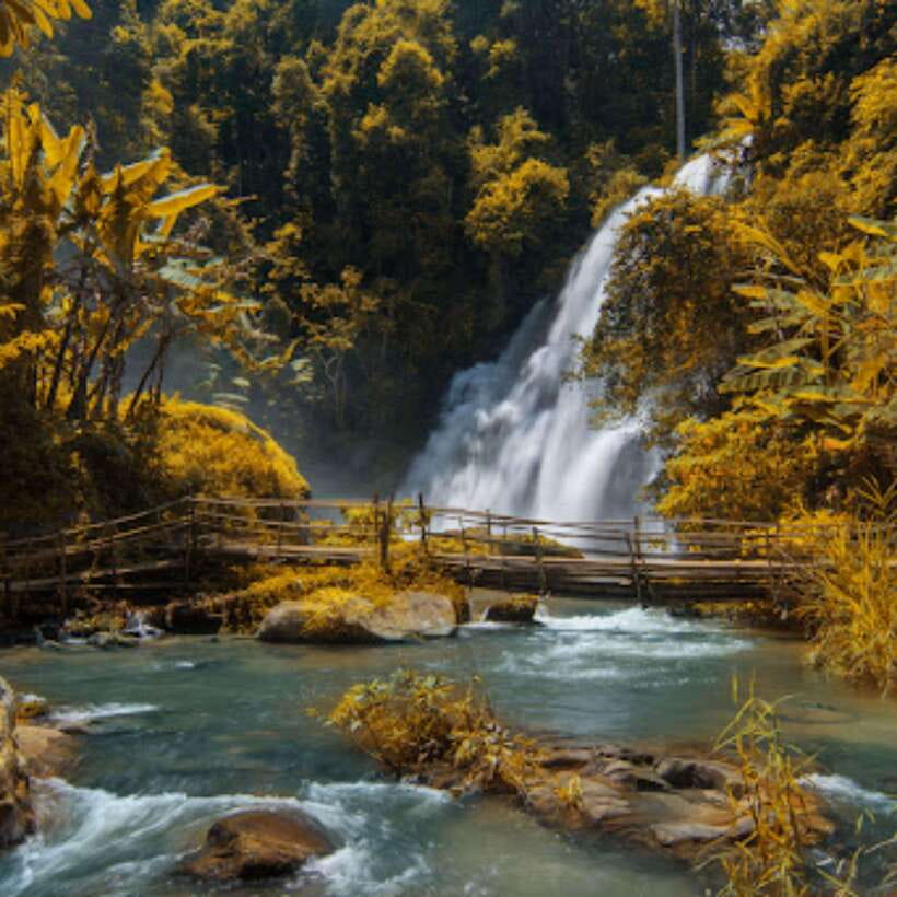 Eco-Friendly: Doi Inthanon & Pha Dok Siew Trekking Day Trip - Key highlights to know before you go