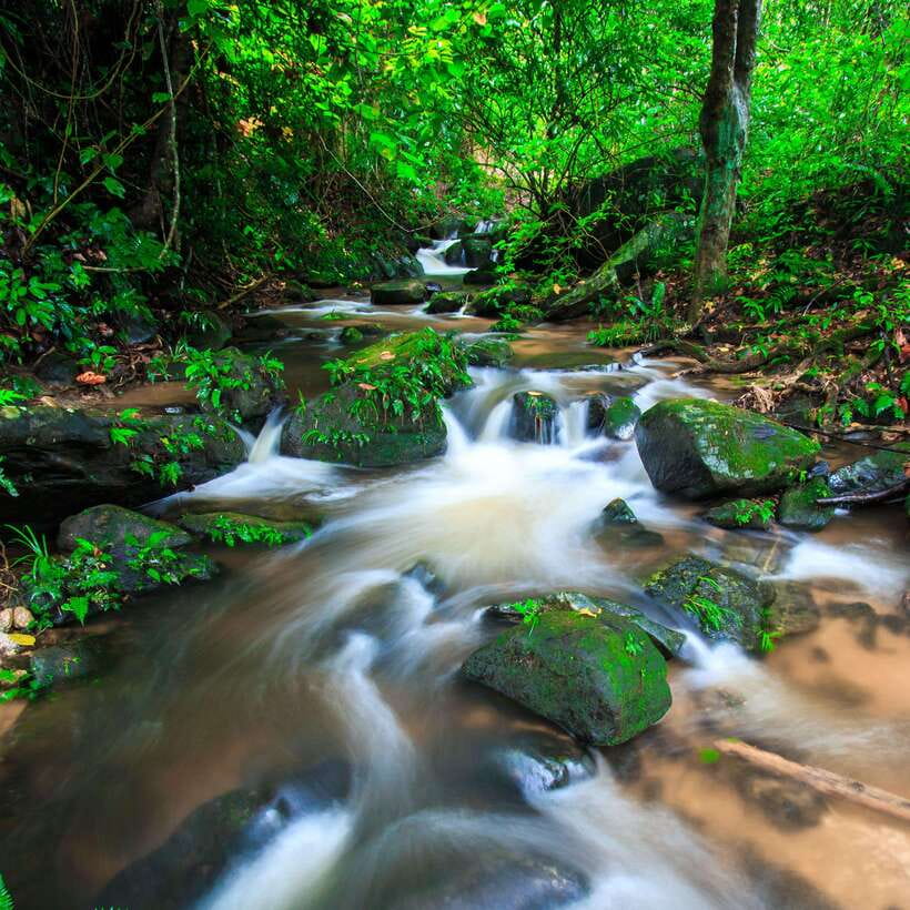 Eco-Friendly: Doi Inthanon & Pha Dok Siew Trekking Day Trip - The van ride and park timing: how to avoid feeling rushed