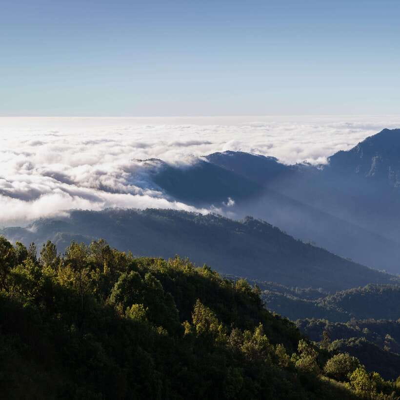 Eco-Friendly: Doi Inthanon & Pha Dok Siew Trekking Day Trip - Pha Dok Sieo Nature Trail: the trek part, realistically