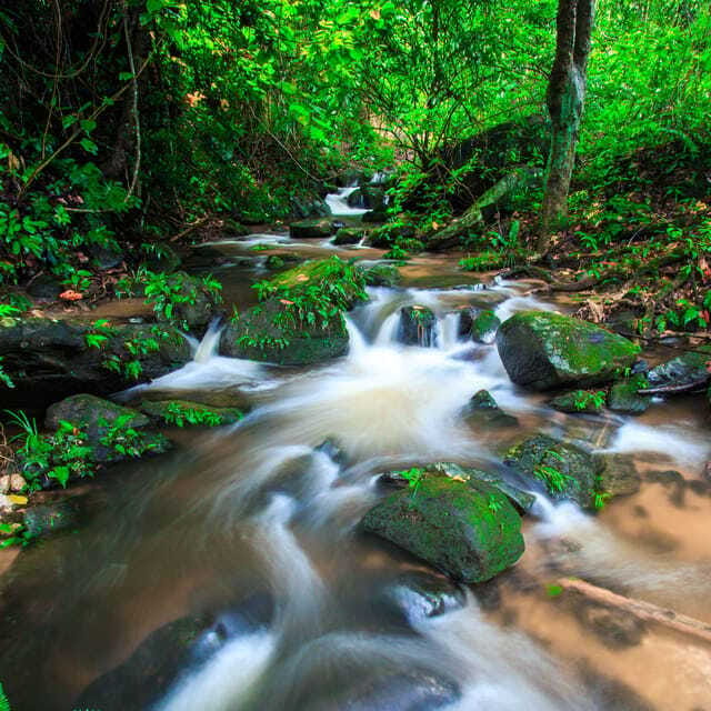 Eco-Friendly: Doi Inthanon & Pha Dok Siew Trekking Day Trip - Tips to pack for cool mountain weather and wet trail conditions