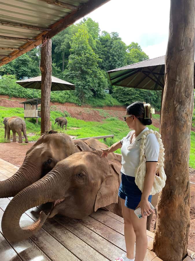 Elefin Farm & Cafe Half-day tour with Private Car - Key highlights at a glance