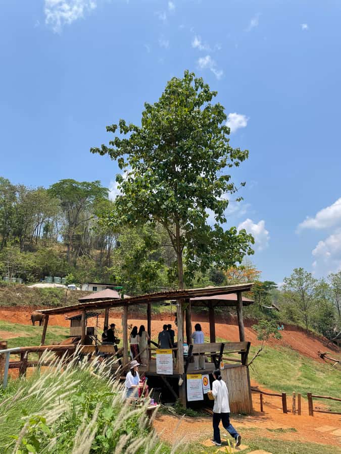 Elefin Farm & Cafe Half-day tour with Private Car - FAQ
