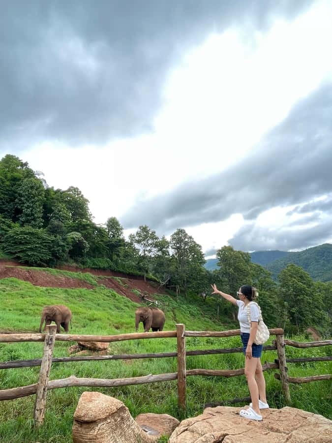 Elefin Farm & Cafe Half-day tour with Private Car - Wat Phrathat Doi Kham in One Hour: A Temple Stop You Can Actually Enjoy