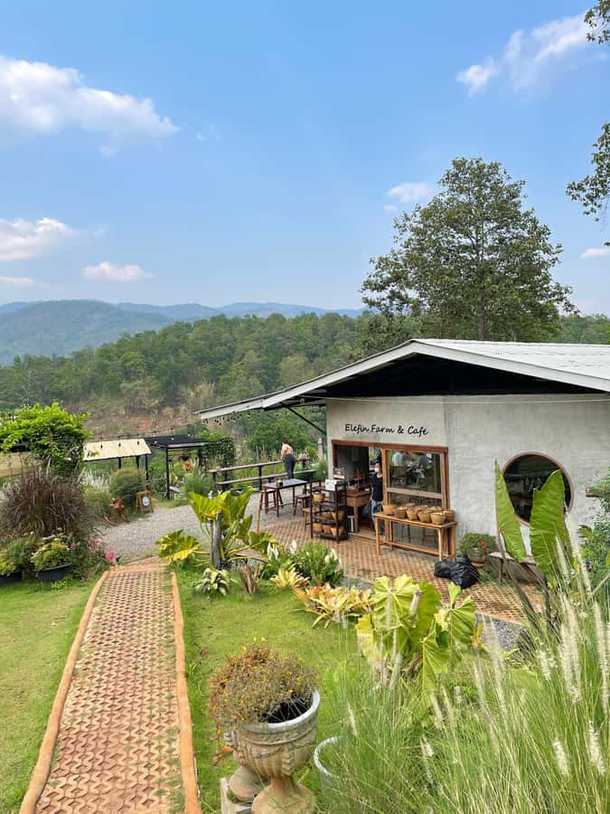 Elefin Farm & Cafe Half-day tour with Private Car - Price and Value: What $109 Gets You (and What Doesn’t)