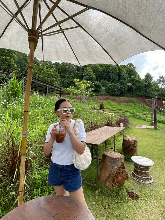 Elefin Farm & Cafe Half-day tour with Private Car - Who Should Book This Half-Day Private Car Tour?