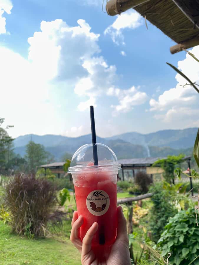 Elefin Farm & Cafe Half-day tour with Private Car - Should You Book It? My decision guide