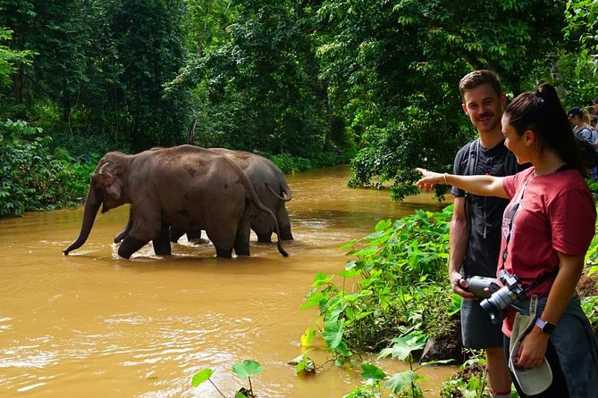 Elephant and Gibbon Encounters - 5days/4nights - Key things I’d plan around