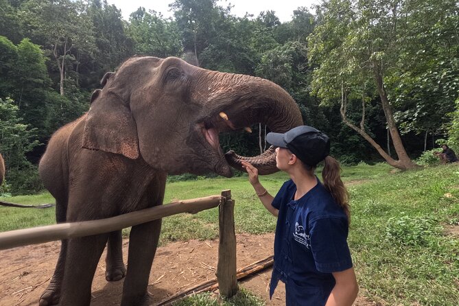 Elephant care program at CHIANGMAI ELEPHANT CARE - Half-Day Schedule in Chiang Mai (Pickup by 8:30, Back Around 2)