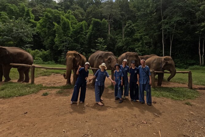Elephant care program at CHIANGMAI ELEPHANT CARE - FAQ