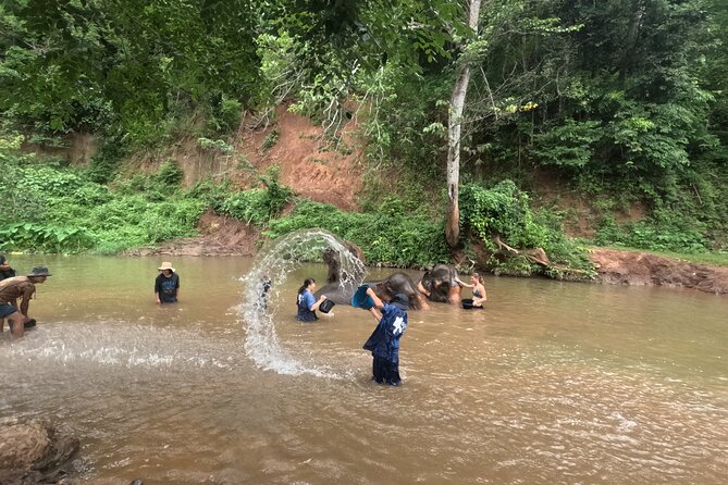 Elephant care program at CHIANGMAI ELEPHANT CARE - Mahout-Style Uniform Change and Staying Comfortable (Sunscreen, Bugs, and Mud)