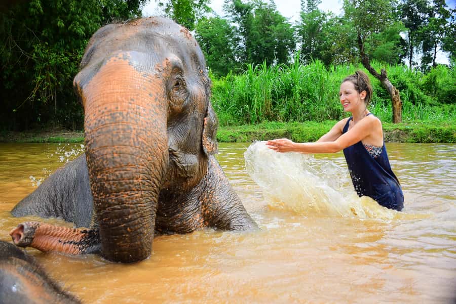 Elephant care with Wat Umong, Doi Suthep and Night City view - Key things to know before you go