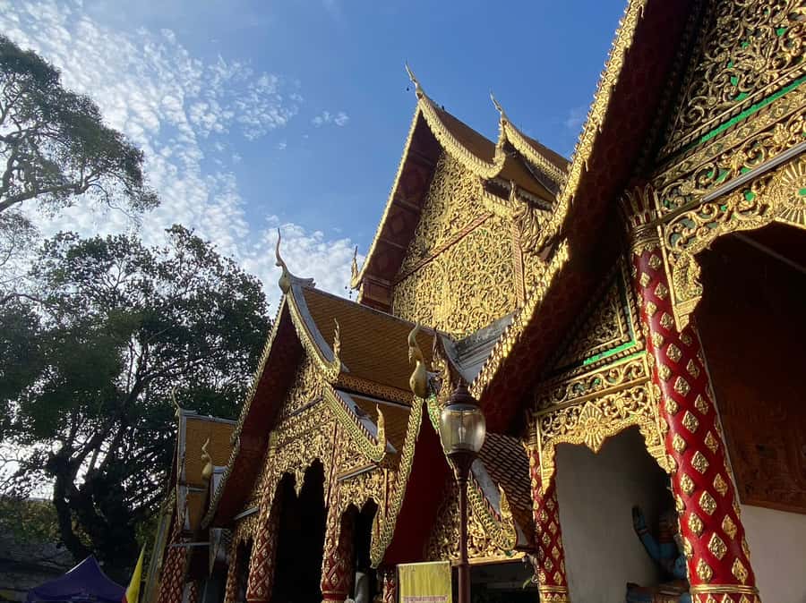 Elephant care with Wat Umong, Doi Suthep and Night City view - Who should book this tour (and who might want to think twice)