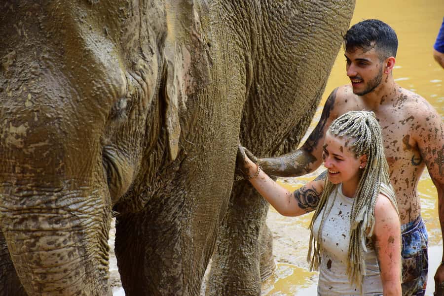 Elephant care with Wat Umong, Doi Suthep and Night City view - Bathing and the mud pool scrub: when to expect the hands-on part