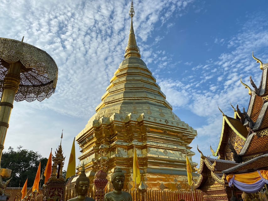 Elephant care with Wat Umong, Doi Suthep and Night City view - Photos without the flash: how to get better shots and not stress the animals