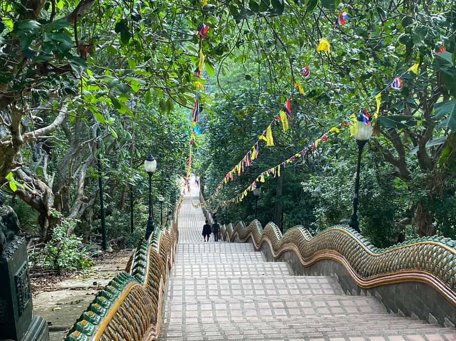Elephant care with Wat Umong, Doi Suthep and Night City view - Changing, showering, and your break before the temple run