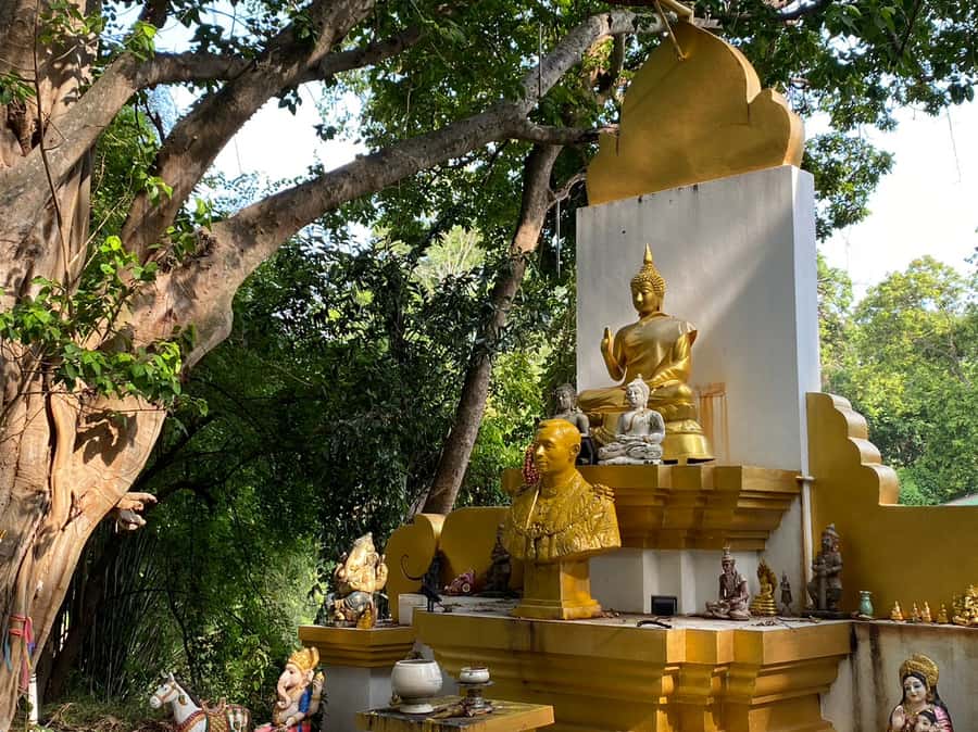 Elephant care with Wat Umong, Doi Suthep and Night City view - Wat Umong at dusk: a tunnel temple that feels different on purpose