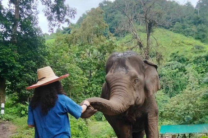 Elephant Experience and Hidden Jungle Waterfall Chiang Mai - Entering Elephant Time at E-co Adventure Camp, Without the Ride