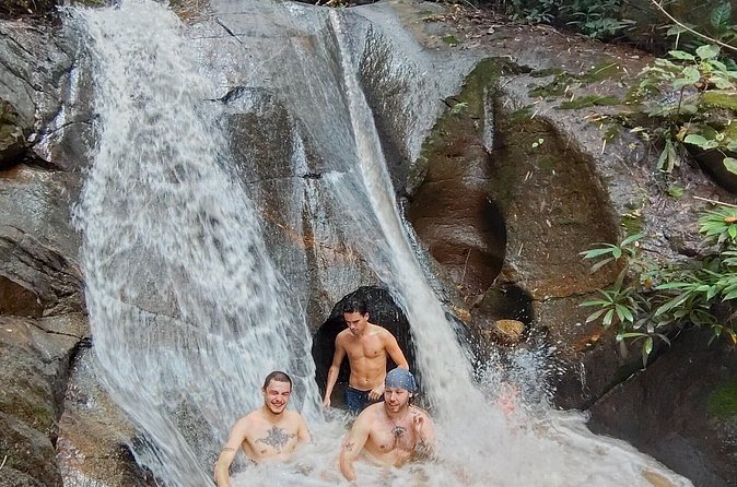 Elephant Experience and Hidden Jungle Waterfall Chiang Mai - Thai Lunch Break: Included Meal, With a Vegetarian Option