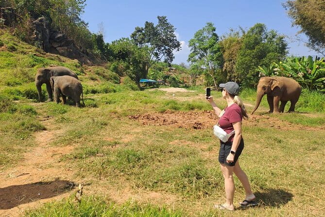 Elephant Sanctuary, Wat Ban Den & Sticky Waterfall - Who Should Book This (and Who Might Rethink the Waterfall)
