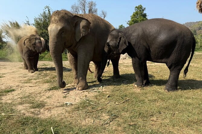 Elephant Sanctuary, Wat Ban Den & Sticky Waterfall - Sticky Waterfall (Bua Tong / Nam Phu Chet Si): The Limestone Walk-Up That’s Actually Fun