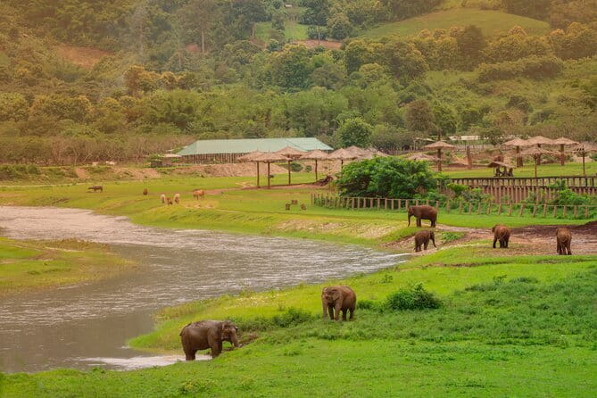 Elephant Sanctuary + Waterfall + Bamboo Rafting One Day Trip - Mae Wang Day Trip Basics: Timing, Pickup, and What You’re Paying For