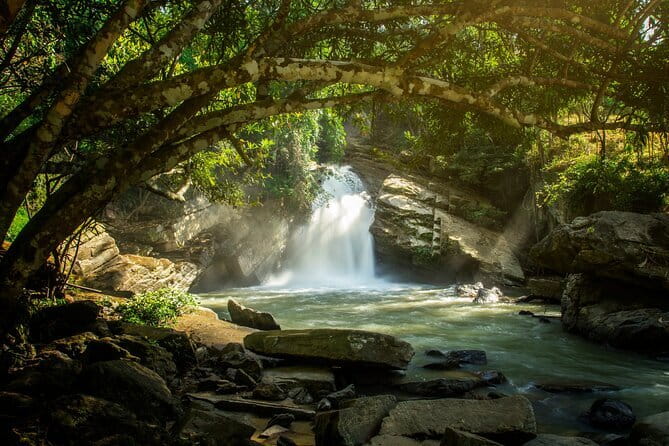 Elephant Sanctuary + Waterfall + Bamboo Rafting One Day Trip - Stop 1 at Mae Wang: Ethical Elephant Sanctuary Time That Feels Hands-On