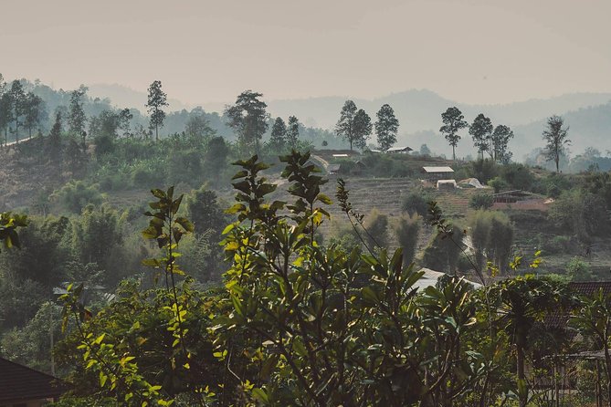 Elephant Sightings , Bamboo Rafting Through The Jungle, Swimming In a Waterfall - Bamboo rafting through Mae Wang National Park: learn, steer, and enjoy the jungle pace