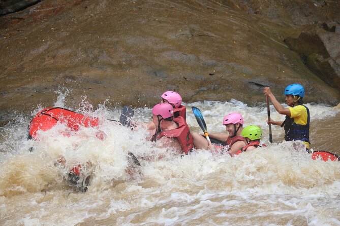 Ethical Elephant Visit and White Water Rafting in Chiang Mai - Key Reasons This Day Works