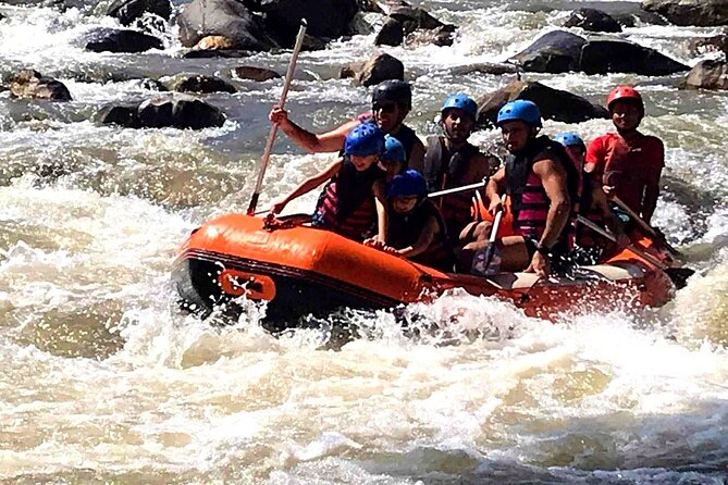 Ethical Elephant Visit and White Water Rafting in Chiang Mai - Price and Value: What $58.67 Really Buys