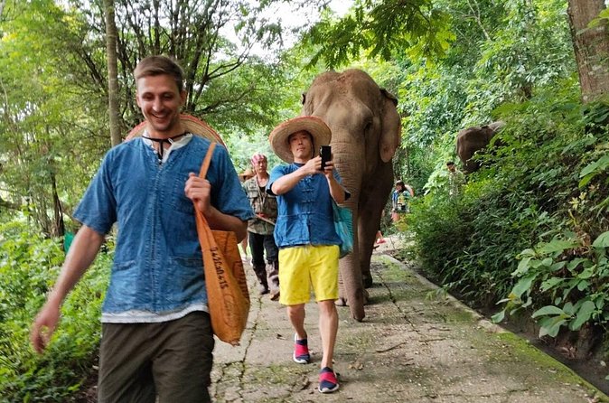 Ethical Elephant Visit and White Water Rafting in Chiang Mai - What to Expect Day-Of: Gear, Fitness, and Weather