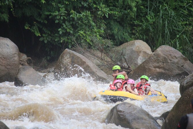 Ethical Elephant Visit and White Water Rafting in Chiang Mai - E-co Adventure Camp: Feed, Walk, and Learn in a Small Setting