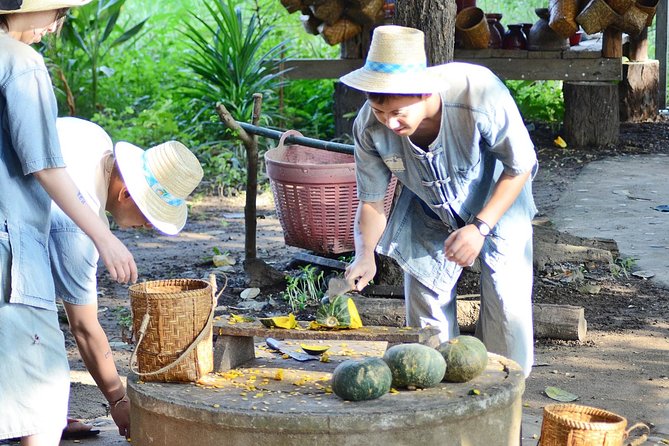 Experience Elephant Sanctuary + Sticky Waterfall - Bathing the Elephants and Getting Set Up