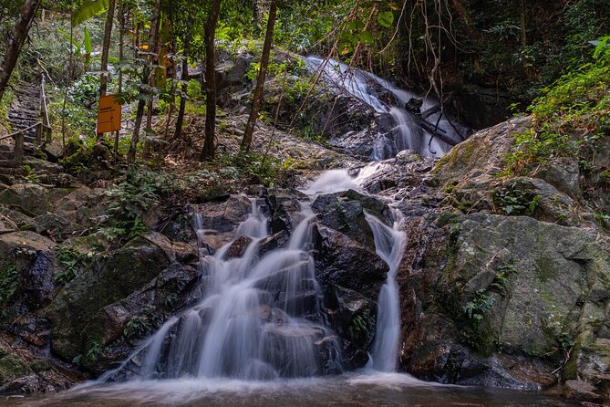 Explore Mae Kampong Village from Chiang Mai City - Coffee Shop Time: The Little Pause That Makes the Day Work