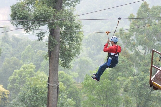 Extream Zipline @ Kingkong Smile and Dip in Hot Spring - Timing on the Canopy: How to Make the Most of Your Zipline Time