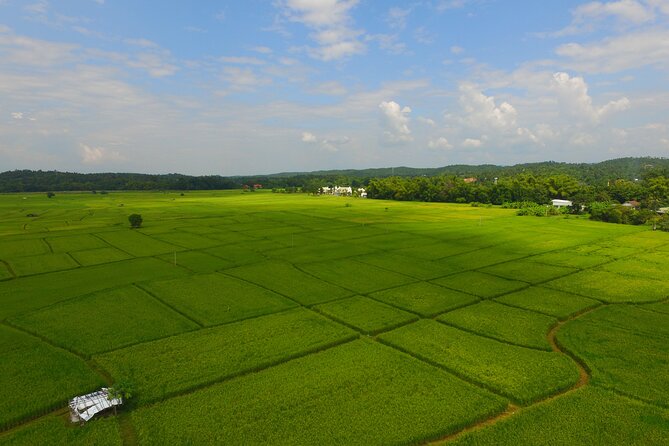 FIELDS OF GOLD Mountain Biking Tour Chiang Mai - Getting on the bike: KONA Blast Trail and a safety kit that covers the basics