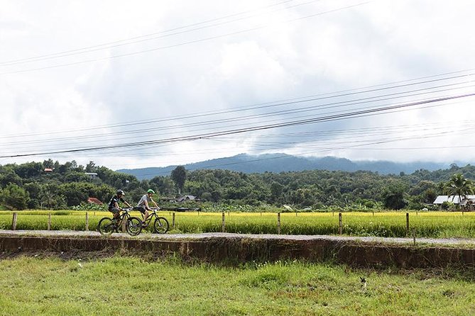 FIELDS OF GOLD Mountain Biking Tour Chiang Mai - Riding distance and terrain: why 40–57 miles is the real commitment
