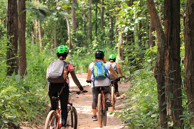 FIELDS OF GOLD Mountain Biking Tour Chiang Mai - The Trailhead coffee stop: small break, real payoff