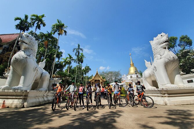 FIELDS OF GOLD Mountain Biking Tour Chiang Mai - What’s included in your money: bike, gear, lunch, snacks, drinks, and insurance