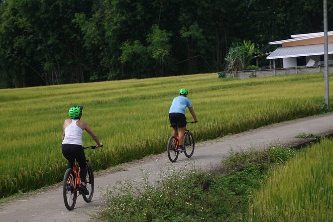 FIELDS OF GOLD Mountain Biking Tour Chiang Mai - Guides and pacing: why competence matters on mixed terrain