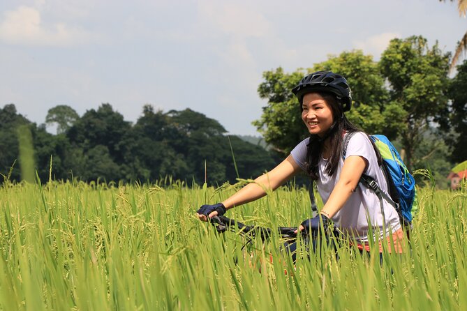 FIELDS OF GOLD Mountain Biking Tour Chiang Mai - The day starts easy: hotel pickup, a clear meeting point, and a 8:30 am start