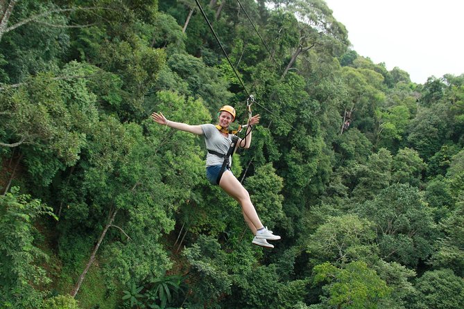 Flight of the Phoenix: Zipline Experience - Key highlights worth knowing before you go