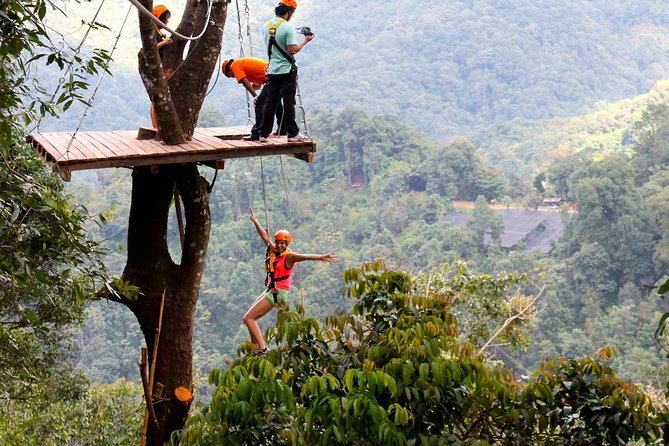 Flight of the Phoenix: Zipline Experience - Phoenix Adventure Park: a Chiang Mai adventure that fits real families