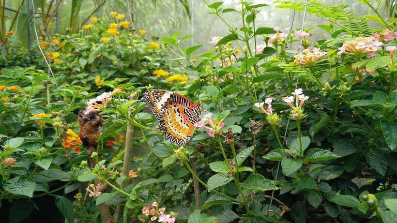 From Chiang Mai: Chiang Dao Cave & 5 Hill Tribe Villages - Cave tips that make the crawl-through section manageable
