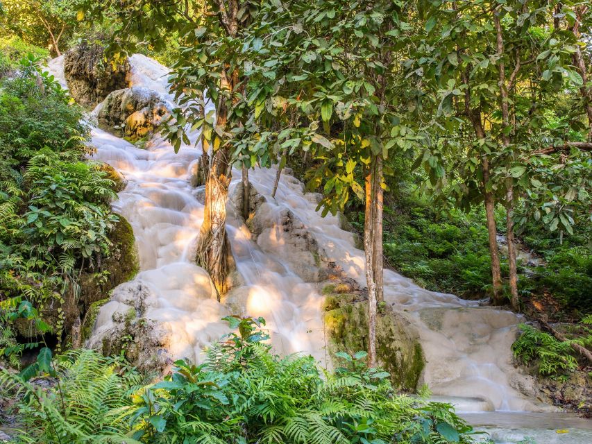 From Chiang Mai: Chiang Dao Cave Trekking Full-Day Tour - Key things I’d mark on your must-do list