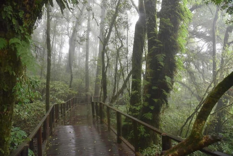 From Chiang Mai: Doi Inthanon National Park Day Trip - Key highlights at a glance