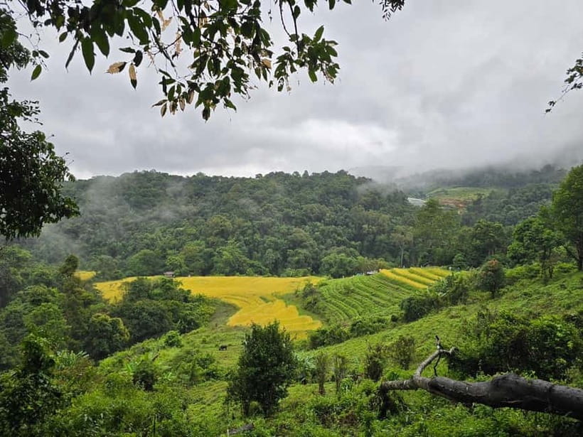 From Chiang Mai: Doi Inthanon National Park Day Trip - Lunch at Mae Klang Luang: Karen culture in terraced rice country