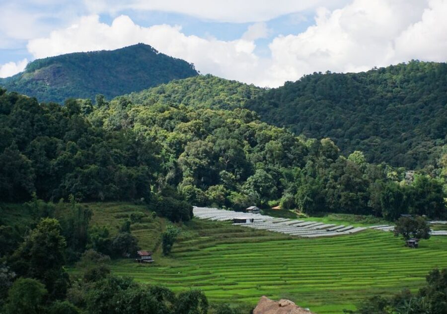 From Chiang Mai: Doi Inthanon National Park Day Trip & Hike - Mae Klang Luang: scenic views that help the day breathe